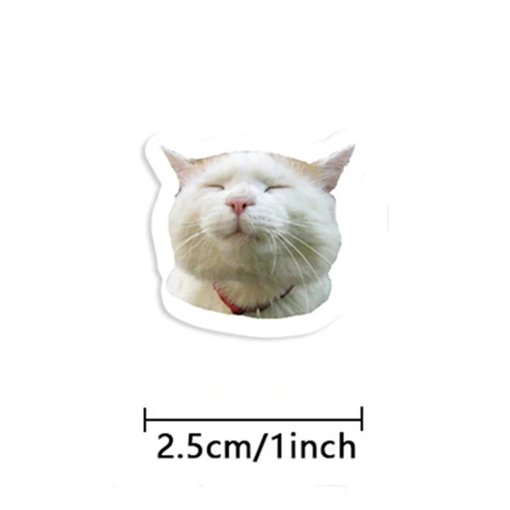 100-500pcs Cartoon Meme Cat Stickers For School Reward Stickers Classroom Decoration Encouragement Sticker For Student Teacher (ONLINE ORDER ONLY)