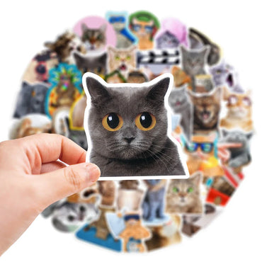 10/30/65PCS Kawaii Funny Cat Stickers Cute Cartoon Decals DIY Skateboard Phone Notebook Luggage Fridge Bike Car Sticker Kids Toy (ONLINE ORDER ONLY)