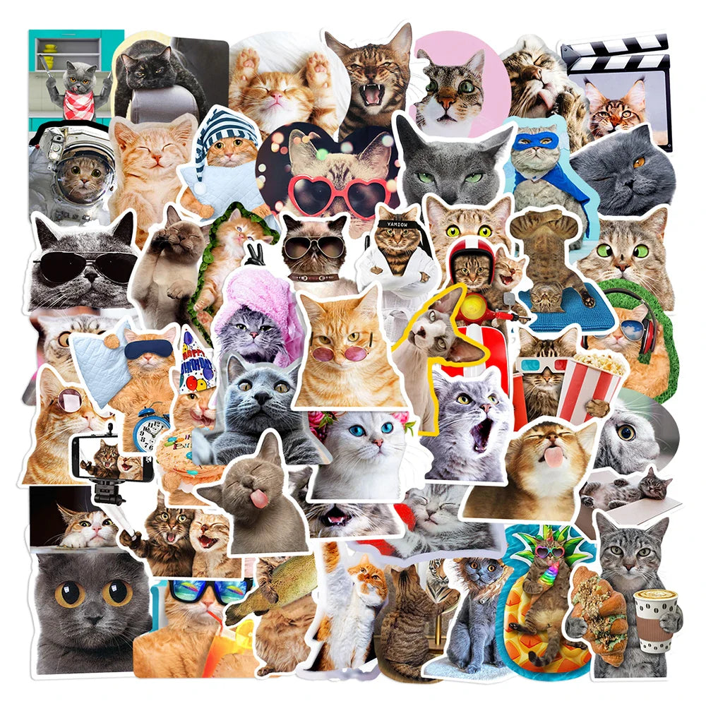 10/30/65PCS Kawaii Funny Cat Stickers Cute Cartoon Decals DIY Skateboard Phone Notebook Luggage Fridge Bike Car Sticker Kids Toy (ONLINE ORDER ONLY)