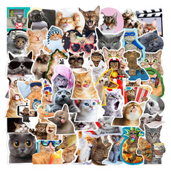 10/30/65PCS Kawaii Funny Cat Stickers Cute Cartoon Decals DIY Skateboard Phone Notebook Luggage Fridge Bike Car Sticker Kids Toy (ONLINE ORDER ONLY)