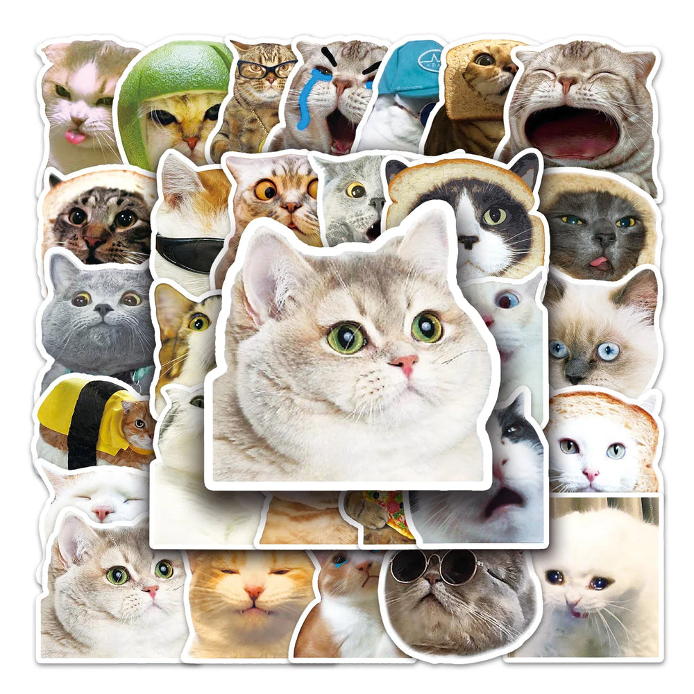 50Pcs Cat Emoji Waterproof Vinyl Stickers for Skateboard Snowboard (ONLINE ORDER ONLY)