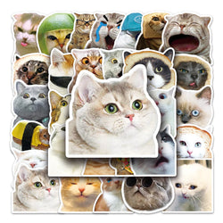 50Pcs Cat Emoji Waterproof Vinyl Stickers for Skateboard Snowboard (ONLINE ORDER ONLY)