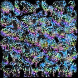 Holographic Animal Stickers: Laptop, Phone, Car, Fridge, Kids Toy (10/30/50pcs) (Online Order Only)