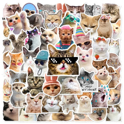 Cat Stickers Pack for Phone Laptop Guitar Helmet Luggage Car DIY (ONLINE ORDER ONLY)