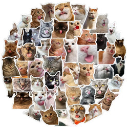 Cat Stickers Kawaii Cute Decals DIY Skateboard Notebook Luggage Phone Fridge Bike PVC Car 10/30/50pcs (ONLINE ORDER ONLY)