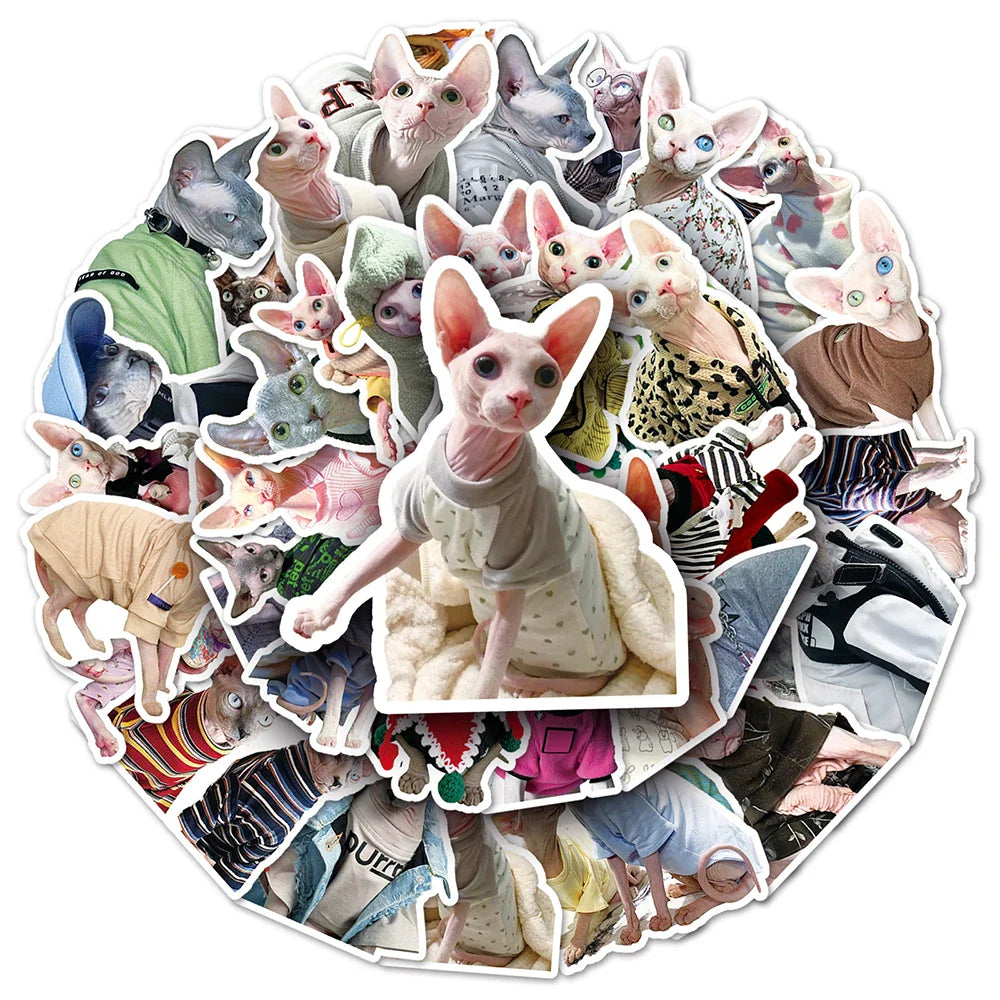 Sphynx Cat Stickers Pack - Cute, Funny, Kawaii Decals for Luggage, Skateboard, DIY, Graffiti (Online Order Only)