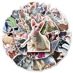 Sphynx Cat Stickers Pack - Cute, Funny, Kawaii Decals for Luggage, Skateboard, DIY, Graffiti (Online Order Only)