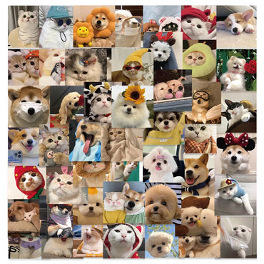 10/30/53PCS Cute Cats Dog Funny Stickers Cartoon Animals Graffiti Toys DIY Notebook Luggage Skateboard Guitar Kids Sticker Decal (ONLINE ORDER ONLY)