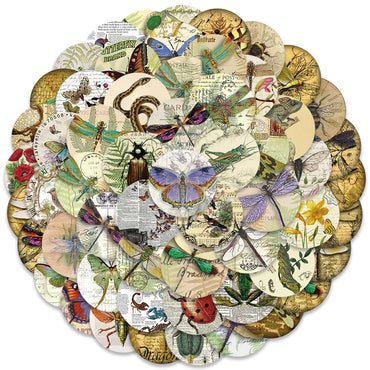 10/30/58PCS Retro Insects Stickers Graffiti Specimen DIY Album Skateboard Luggage Phone Planner Cartoon Decals Waterproof Toys (ONLINE ORDER ONLY)