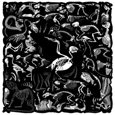 10/50pcs Cool Cartoon Dark Animals Skeleton Skull Stickers Laptop Water Bottle Luggage Notebook Waterproof Graffiti Vinyl Decals (ONLINE ORDER ONLY)