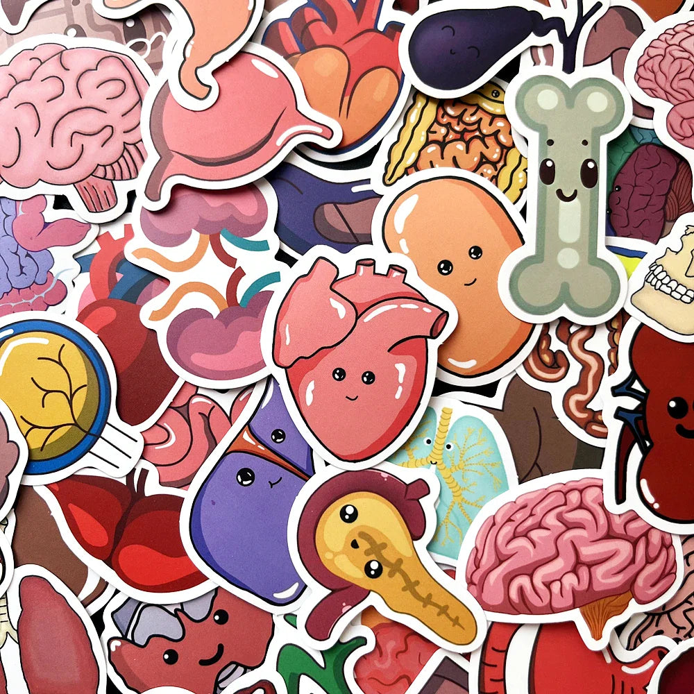 Cartoon Human Organ Anatomy Stickers Waterproof DIY 10/50PCS (Online Order Only)