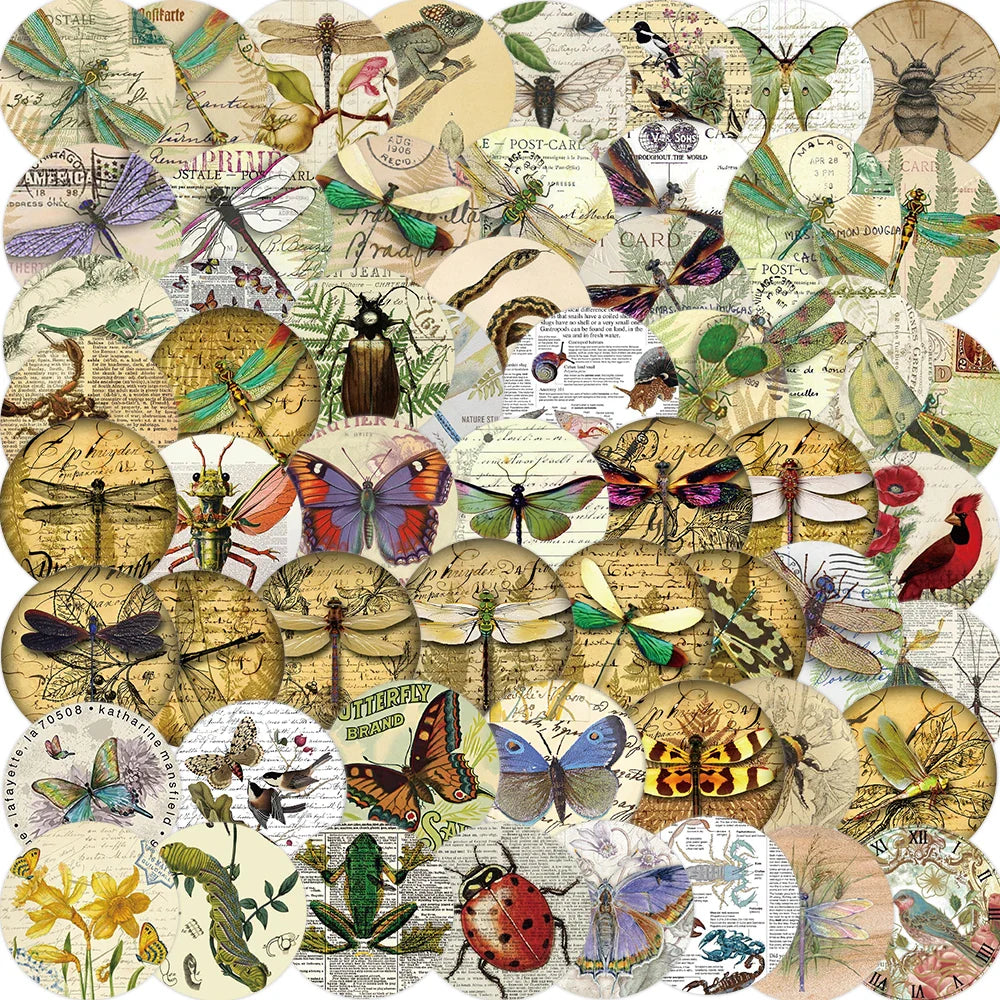 58PCS Insect Specimen Sticker Cartoon Vintage DIY Phone Laptop Luggage Skateboard Graffiti Decals Fun for Kid Stickers Toy (ONLINE ORDER ONLY)