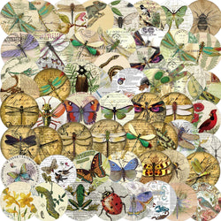 58PCS Insect Specimen Sticker Cartoon Vintage DIY Phone Laptop Luggage Skateboard Graffiti Decals Fun for Kid Stickers Toy (ONLINE ORDER ONLY)