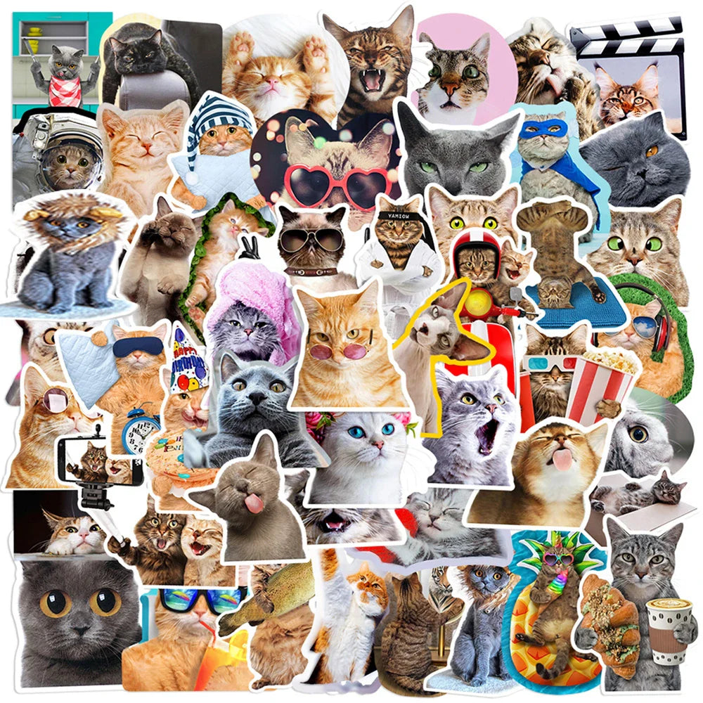 Cute Cat Meme Stickers - Funny Animal Cartoon Decals for Laptop, Guitar, Phone, Suitcase, Notebook (ONLINE ORDER ONLY)