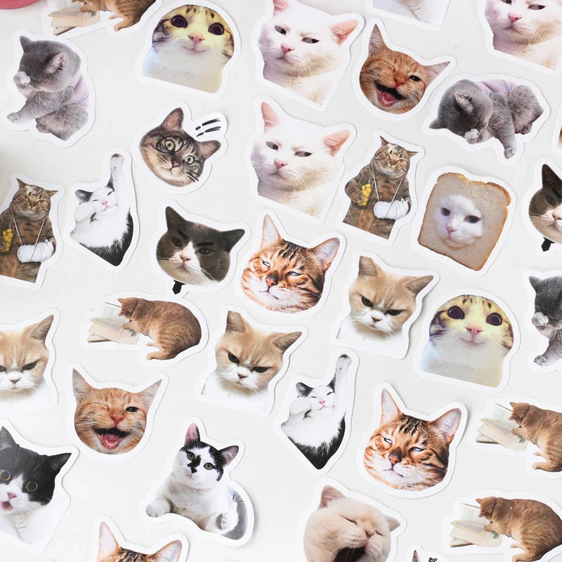 46pcs Cat Stickers for Suitcase, Skateboard, Luggage, Laptop, Phone, DIY Decoration, School Supplies, Toys (Online Order Only)