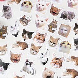 46pcs Cat Stickers for Suitcase, Skateboard, Luggage, Laptop, Phone, DIY Decoration, School Supplies, Toys (Online Order Only)
