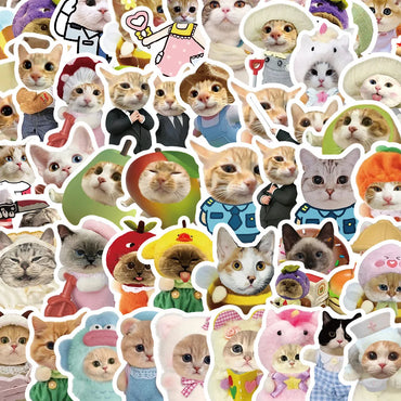 10/62Pcs New Funny Cat Meme Waterproof Graffiti Sticker Aesthetic Decorative Luggage Laptop Phone Guitar Scrapbook Kids Stickers (ONLINE ORDER ONLY)