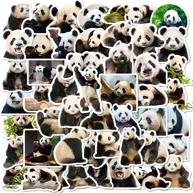 10/30/50PCS Cute Panda Life PVC Sticker Aesthetic Decoration Scrapbooking Korean Stationery Hand Accounting School Supplies (ONLINE ORDER ONLY)