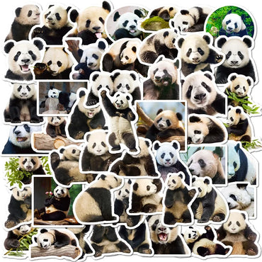 10/30/50PCS Cute Panda Life PVC Sticker Aesthetic Decoration Scrapbooking Korean Stationery Hand Accounting School Supplies (ONLINE ORDER ONLY)