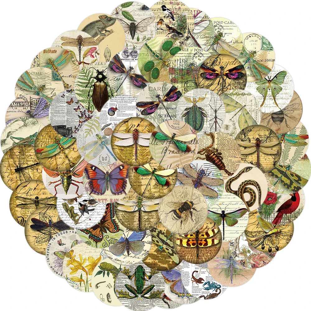 58PCS Insect Specimen Sticker Cartoon Vintage DIY Phone Laptop Luggage Skateboard Graffiti Decals Fun for Kid Stickers Toy (ONLINE ORDER ONLY)