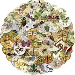 58PCS Insect Specimen Sticker Cartoon Vintage DIY Phone Laptop Luggage Skateboard Graffiti Decals Fun for Kid Stickers Toy (ONLINE ORDER ONLY)