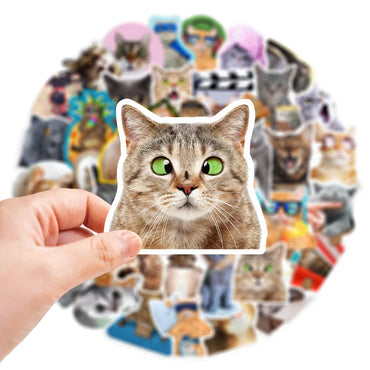 10/30/65PCS Kawaii Funny Cat Stickers Cute Cartoon Decals DIY Skateboard Phone Notebook Luggage Fridge Bike Car Sticker Kids Toy (ONLINE ORDER ONLY)