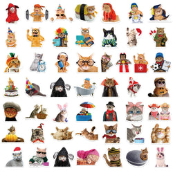 10/30/50pcs  Funny Animals Cat Meme Stickers Cute Cartoon Decals Kids Toys Laptop Notebook Luggage Motorcycle Decoration Sticker (ONLINE ORDER ONLY)