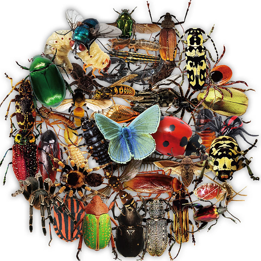 50Pcs Transparent Insect Stickers for Kids & Adults Scrapbooking (ONLINE ORDER ONLY)