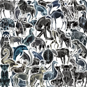 10/50pcs Cool X-ray Animals Skeleton Skull Stickers Transparent PET Decals Toy DIY Skateboard Phone Luggage Car Graffiti Sticker (Online Order Only)