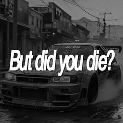 "BUT DID YOU DIE"Funny  Stickers. Trucks Windows Motorbike Bumper Computer Vinyl Decal (ONLINE ORDER ONLY)