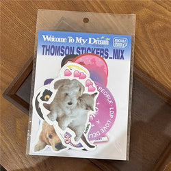 Ins Korean Retro Cute Cat Sticker Scrapbooking DIY Material Collage Decoration Stationery Stickers Aesthetic Personalized (ONLINE ORDER ONLY)