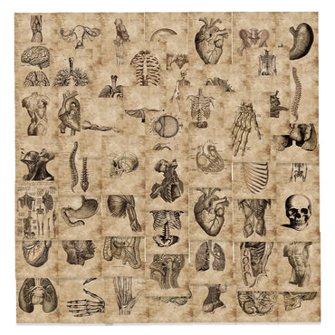 10/30/56pcs Vintage Horror Anatomy Physiology The Body Structure Stickers Skateboard Laptop Luggage Phone Car Bike Cool Sticker (ONLINE ORDER ONLY)