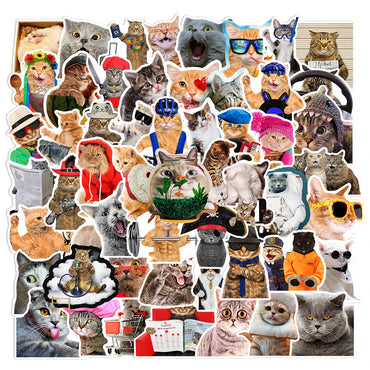10/30/66PCS Funny Cat Stickers Cute Cartoon Decals Toys DIY Notebook Laptop Skateboard Luggage Phone Car Waterproof Kids Sticker (Online Order Only)