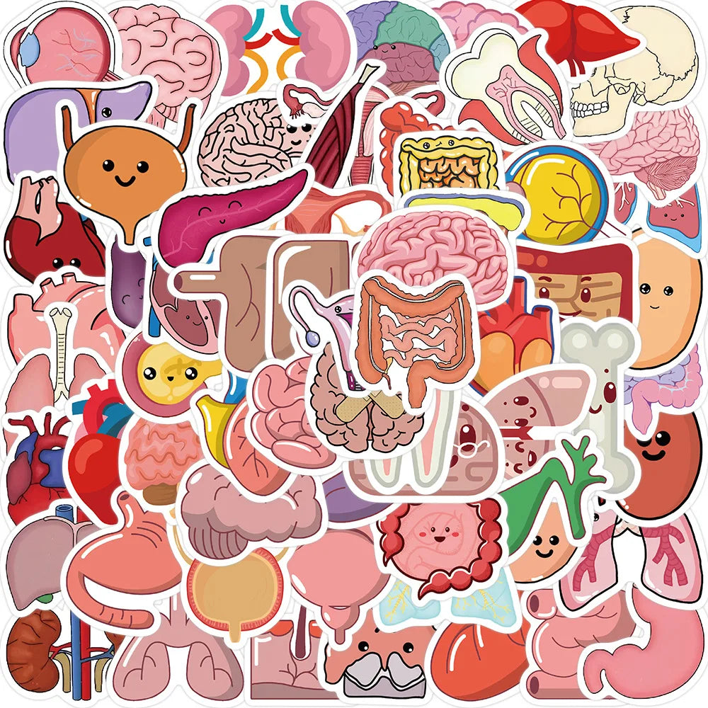 50pcs Cartoon Human Organs Stickers for Helmet, Wall, Desktop Decoration (Online Order Only)