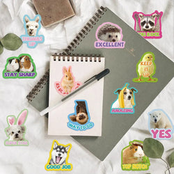 50pcs Cute Cartoon Animals Stickers DIY Phone Guitar Laptop Notebook Suitcase Cup Waterproof Mix Graffiti Sticker Kids Toy (ONLINE ORDER ONLY)