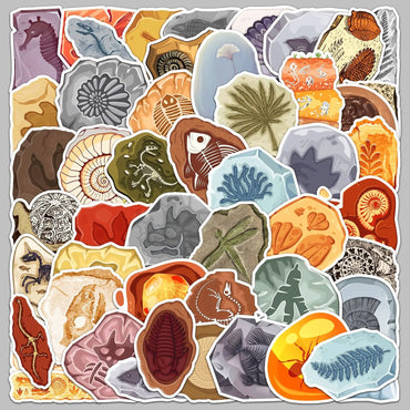50Pcs Cartoon Fossil Graffiti Stickers for Helmet, Wall, DIY Decor (Online Order Only)