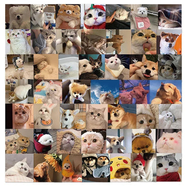 10/30/48PCS Cute Cat Dog Daily Sticker Aesthetic PVC Children's Decoration Korean Stationery Scrapbooking School Supplies (ONLINE ORDER ONLY)