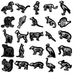 10/30/50PCS Animal Skeleton Black Stickers Cool Graffiti Toys PVC Waterproof Decoration For Phone Bike Skateboard Laptop Decals (ONLINE ORDER ONLY)