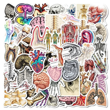 10/30/50PCS Kawaii Creative Brain PVC Sticker Aesthetic Children's Stationery DIY Decoration Scrapbooking School Supplies (ONLINE ORDER ONLY)