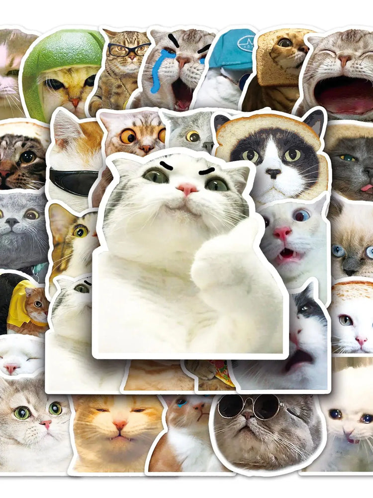 50Pcs Cat Emoji Waterproof Vinyl Stickers for Skateboard Snowboard (ONLINE ORDER ONLY)