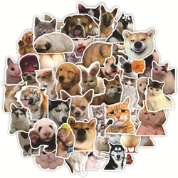 Funny Animal Cat Meme Stickers Pack - Waterproof Decals for Laptop, Luggage, Phone, Kids Toys (ONLINE ORDER ONLY)