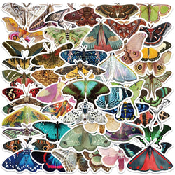 50PCS Gothic Witch Moth Ghost Sticker Set for Phone Laptop Luggage Skateboard Car (Online Order Only)