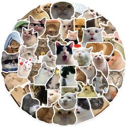 Funny Manny Meme Stickers Pack - Laptop, Phone, Suitcase, Notebook, Fridge, Cute Cat Decals, Kids Gift (Online Order Only)