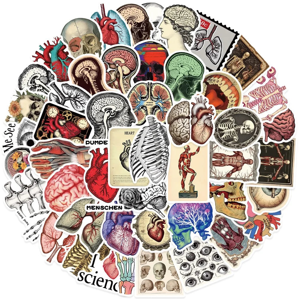 10/50pcs Vintage Human Organ Medical Anatomy Stickers Body Structure Decals DIY Laptop Diary Bottle Graffiti Waterproof Sticker (ONLINE ORDER ONLY)