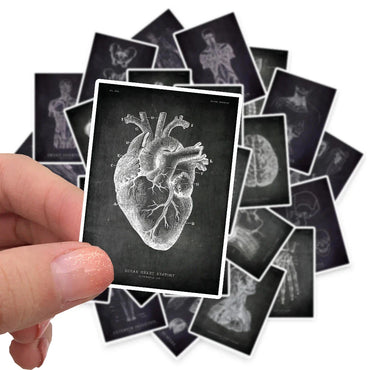 25pcs Anatomical Skeleton Chalkboard Stickers For Laptop PVC Water Bottle waterproof Decal Toy Medicine Student Gifts (Online Order Only)