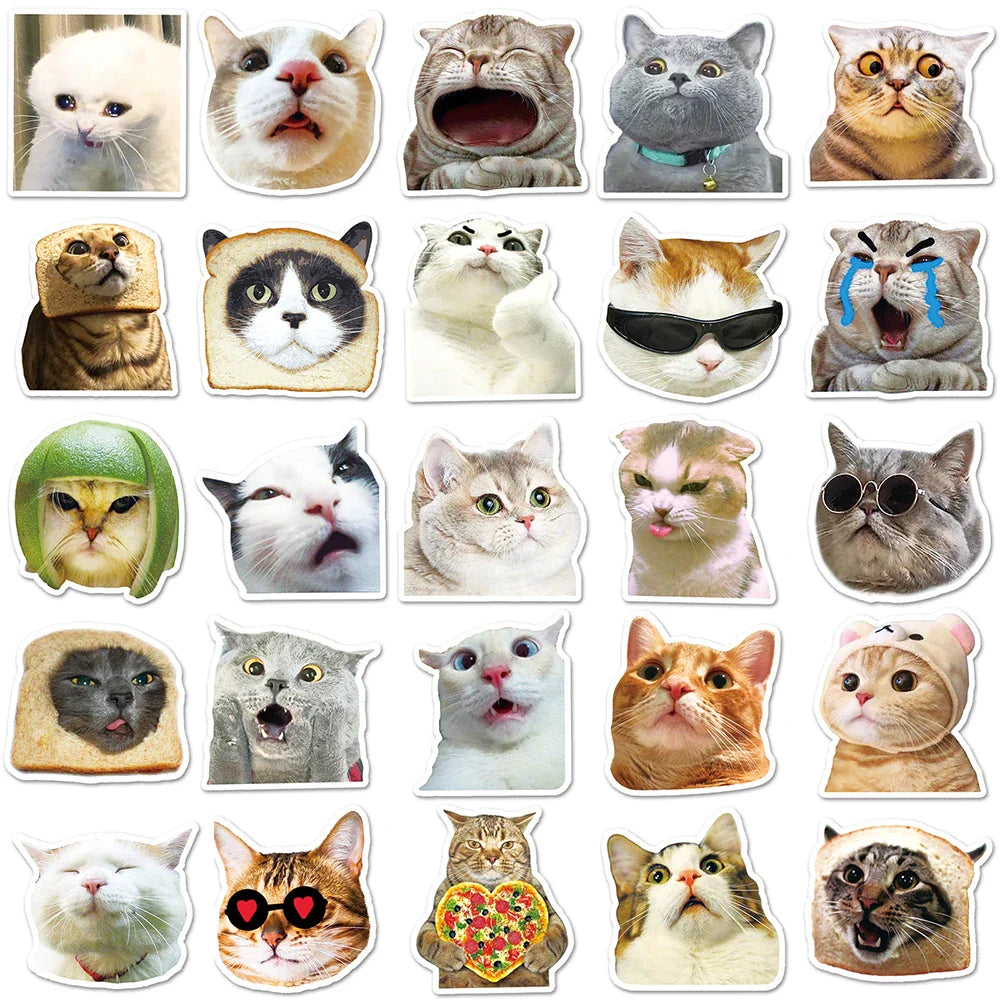 10/30/50PCS Funny Cute Cat Stickers Meme Kawaii Decals For Phone Notebook Laptop Phone Fridge Bike Graffiti DIY Waterproof Toys (ONLINE ORDER ONLY)