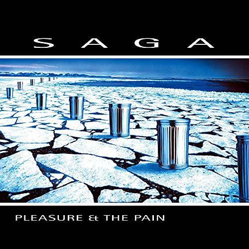 PLEASURE AND THE PAIN [CD] (ONLINE ORDER ONLY)