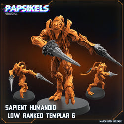 3D Printed Papsikels Sapient Humanoid Low Ranked Templars MARCH 2025 CYBERPUNK 28mm 32mm (Online Only)