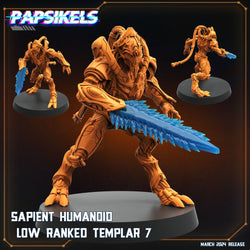 3D Printed Papsikels Sapient Humanoid Low Ranked Templars MARCH 2025 CYBERPUNK 28mm 32mm (Online Only)