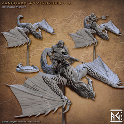 3D Printed Artisan Guild Vanguard Wyvernriders Vanguard Fighters Set 28mm 32mm (Online Only)